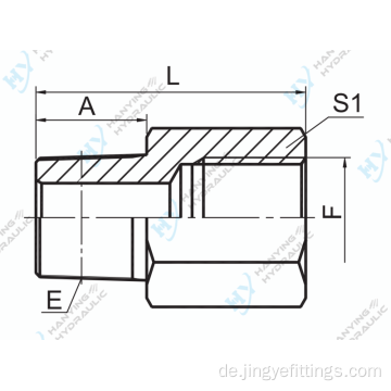 Npt männliche/BSP weibliche Hydraulikadapter